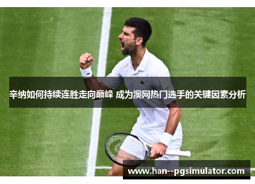 辛纳如何持续连胜走向巅峰 成为澳网热门选手的关键因素分析