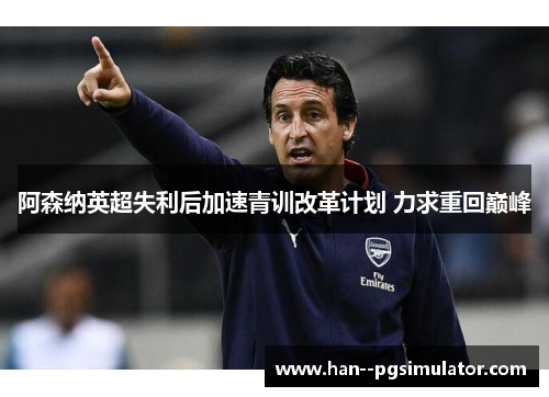 阿森纳英超失利后加速青训改革计划 力求重回巅峰