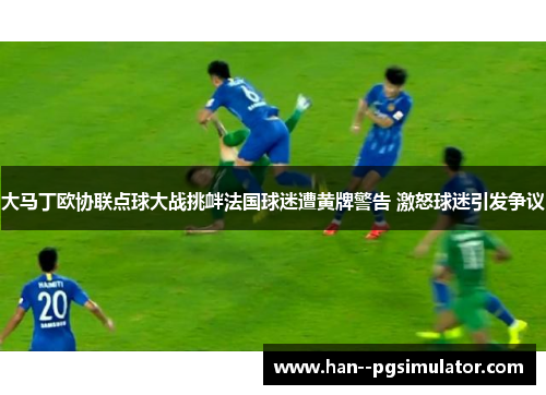 大马丁欧协联点球大战挑衅法国球迷遭黄牌警告 激怒球迷引发争议